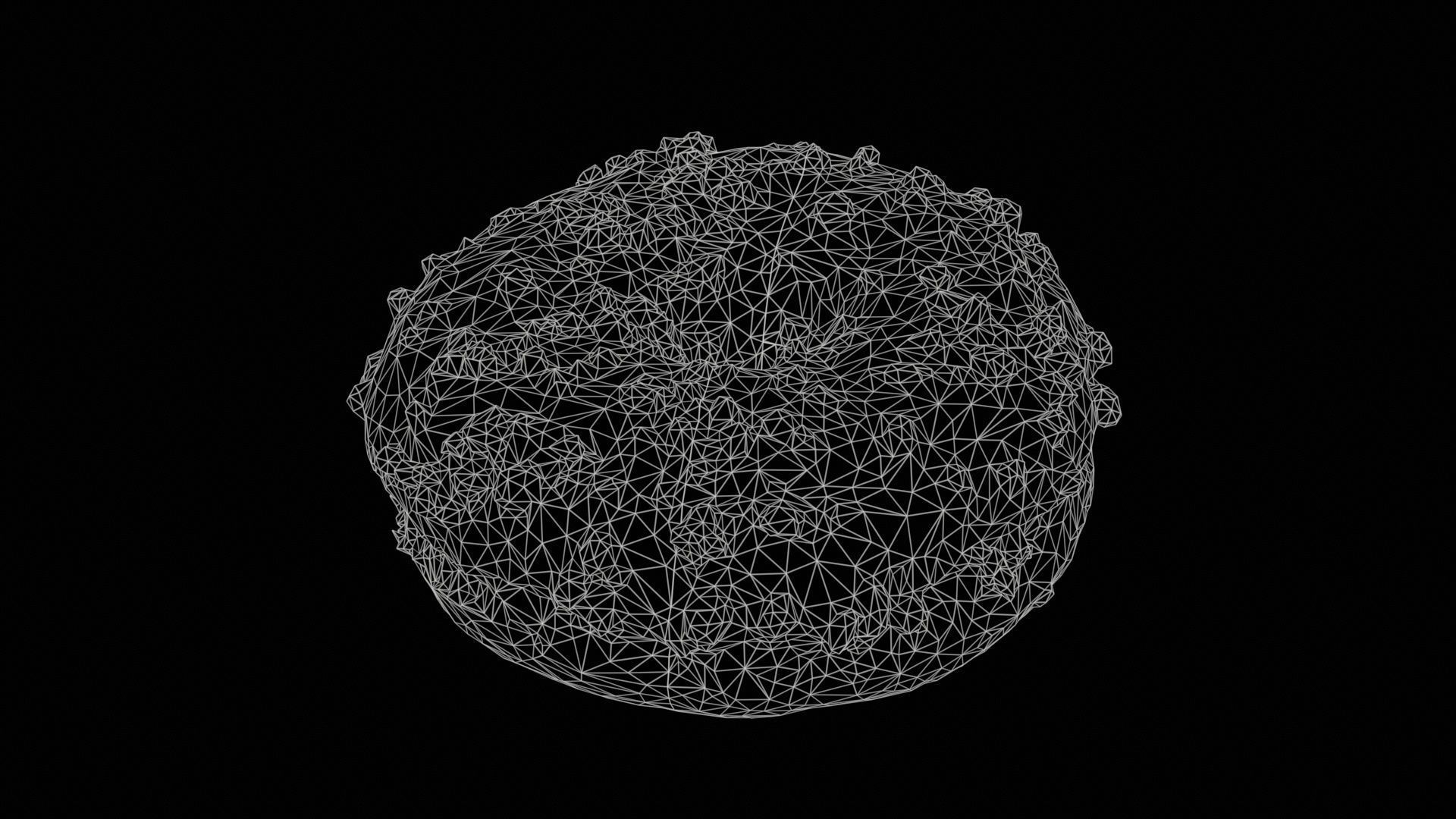 Contrast Donut Low-poly 3D model_11