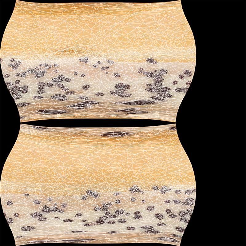 Contrast Donut Low-poly 3D model_14