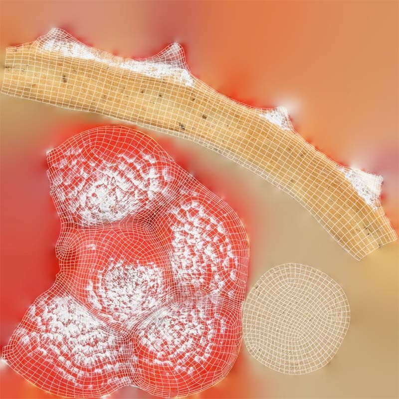 Framboise Cake Low-poly 3D model_14