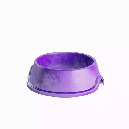 Used Metal Dog Bowl 03