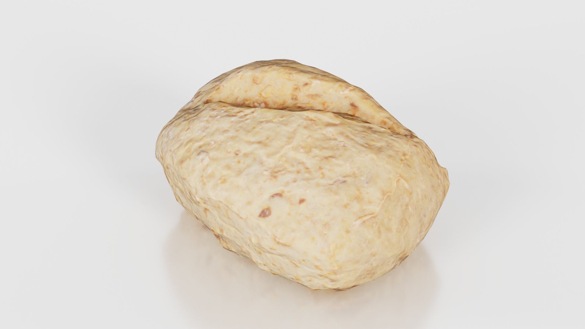 Long Seed Pistolet Low-poly 3D model_24