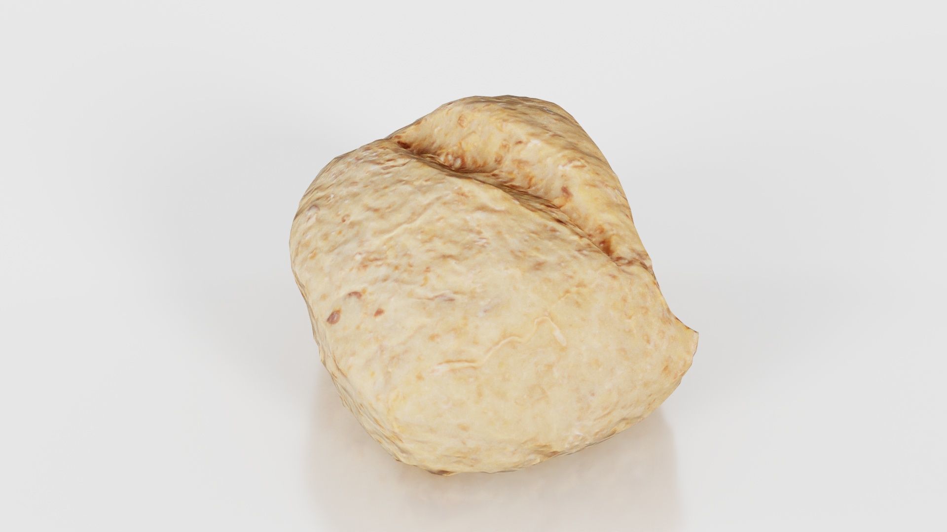 Long Seed Pistolet Low-poly 3D model_23