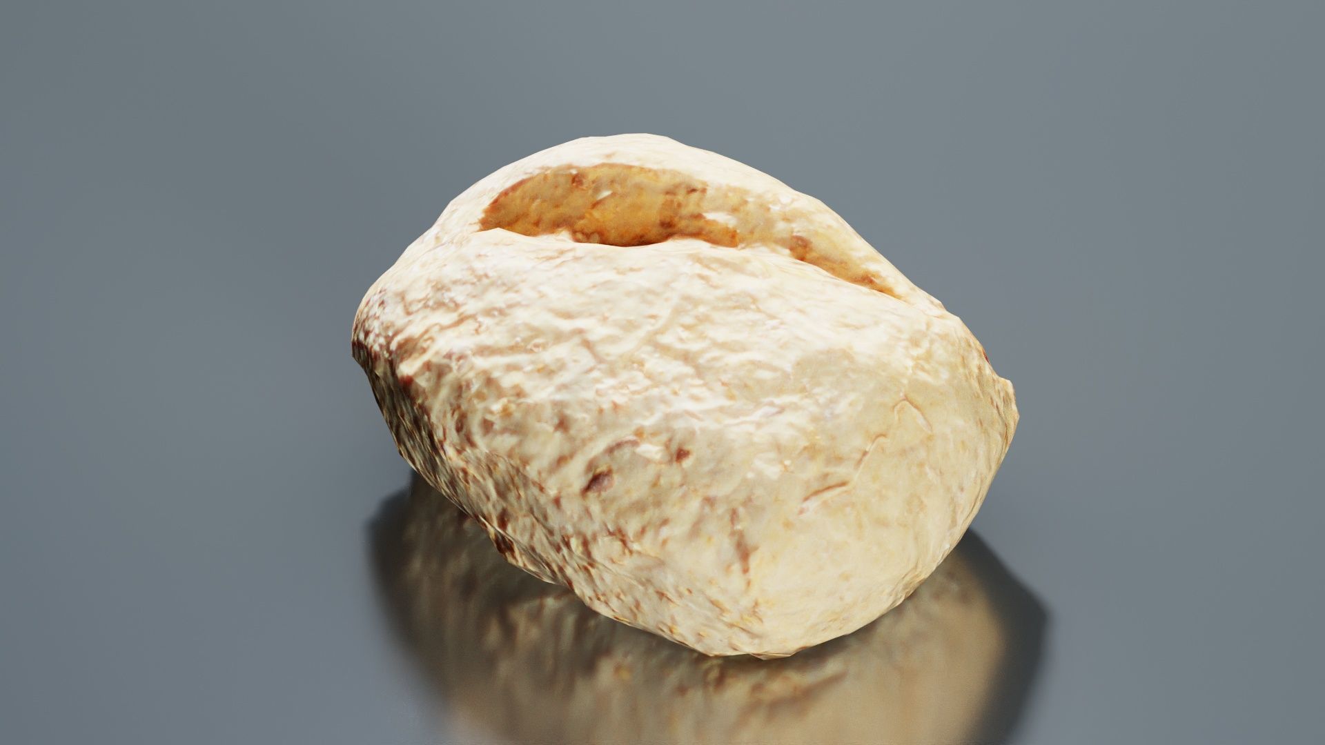 Long Seed Pistolet Low-poly 3D model_4