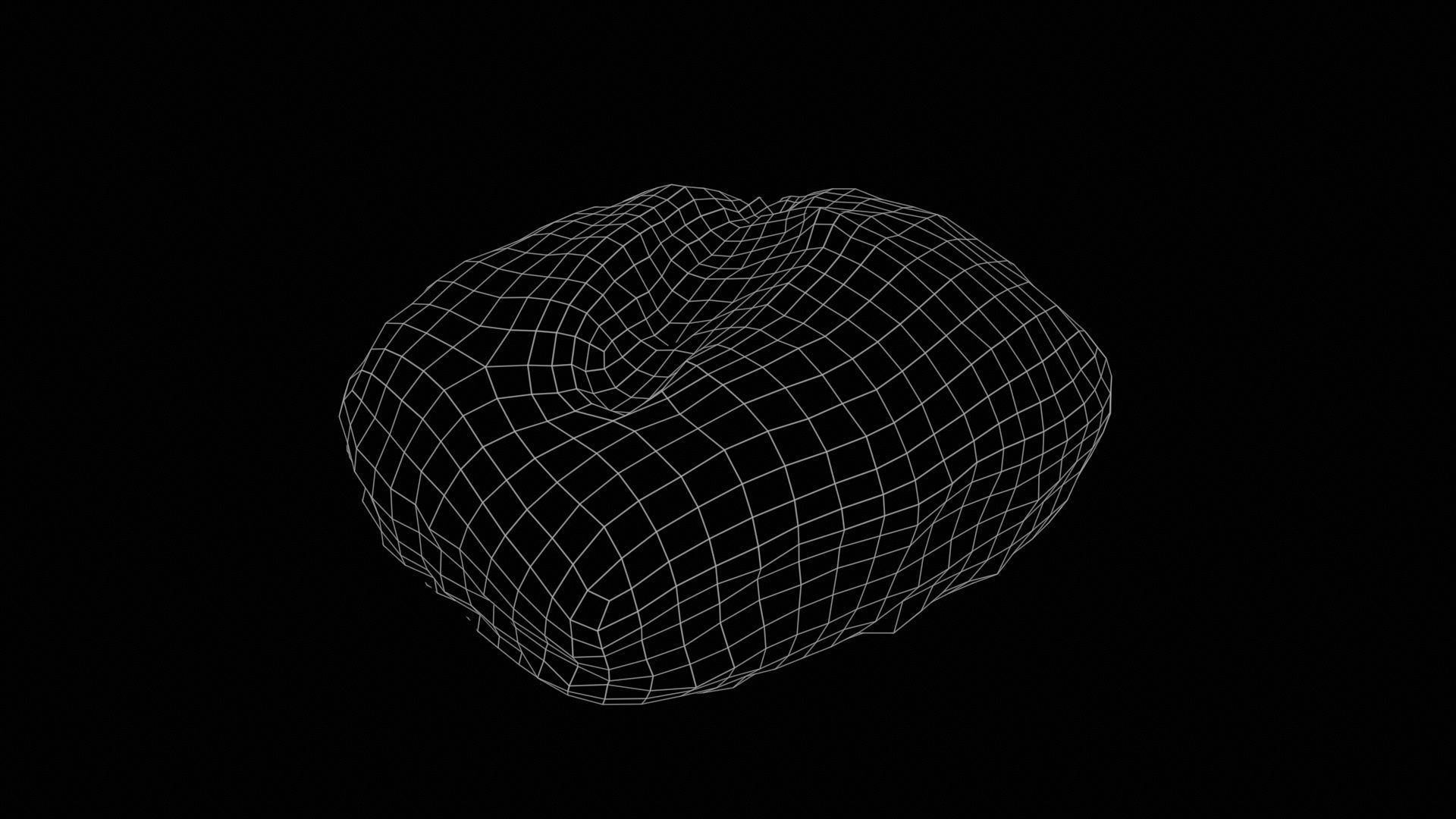 Long Seed Pistolet Low-poly 3D model_11