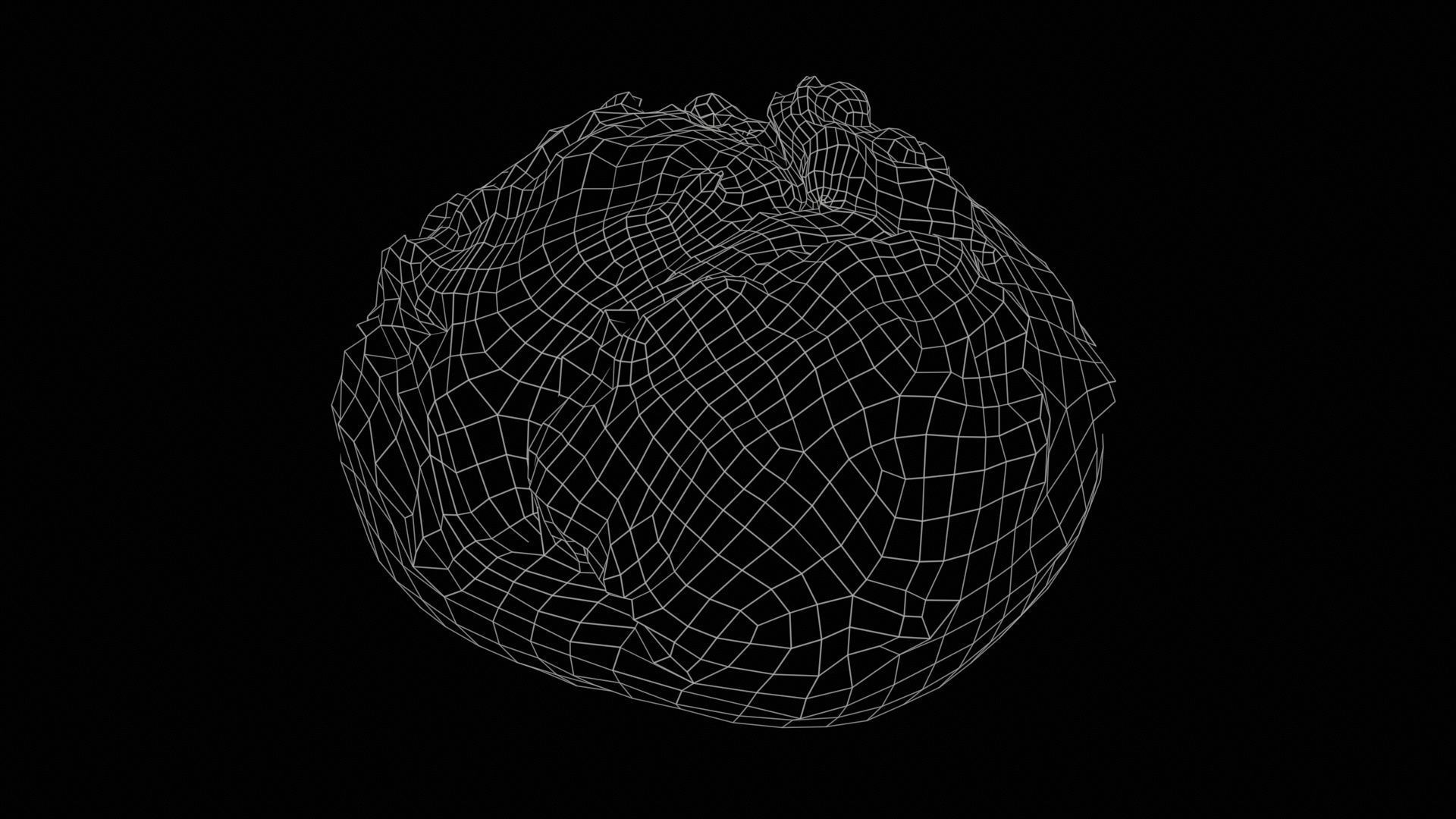 Pumpkin Seed Pistolet Low-poly 3D model_11