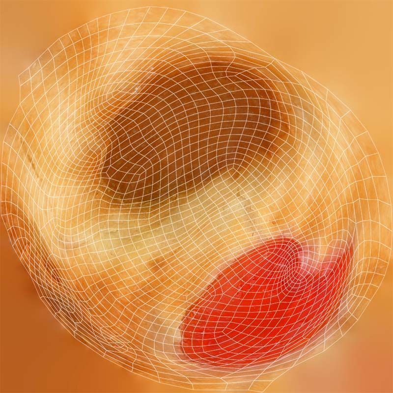 Red Fruit Cookie Low-poly 3D model_14