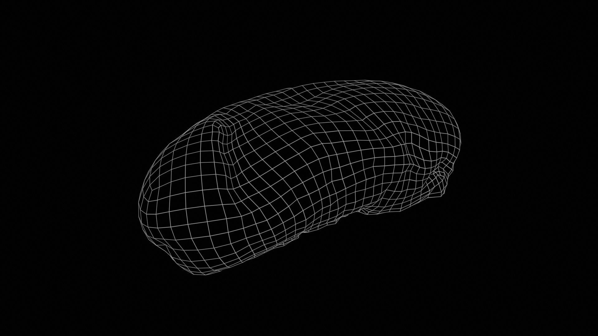 Sandwich Low-poly 3D model_11