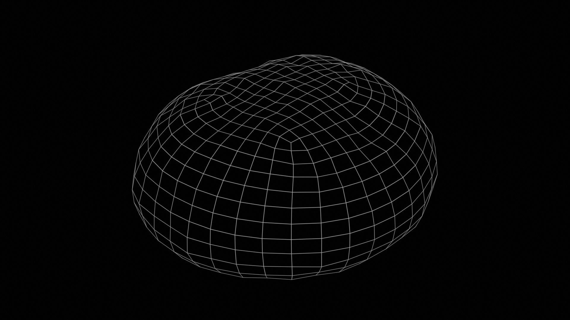 Whole Grain Seed Pistolet Low-poly 3D model_11