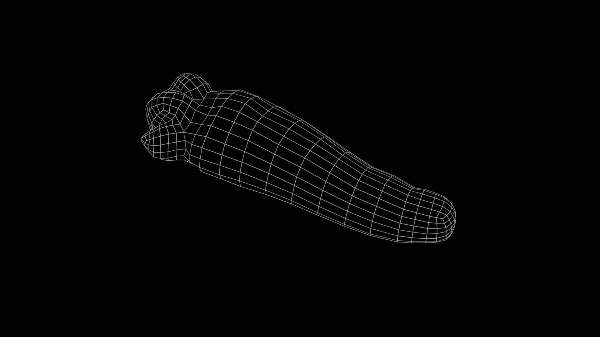 Carrot Candy Low-poly 3D model_11