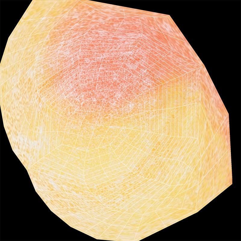 Dual Color Low-poly 3D model_14