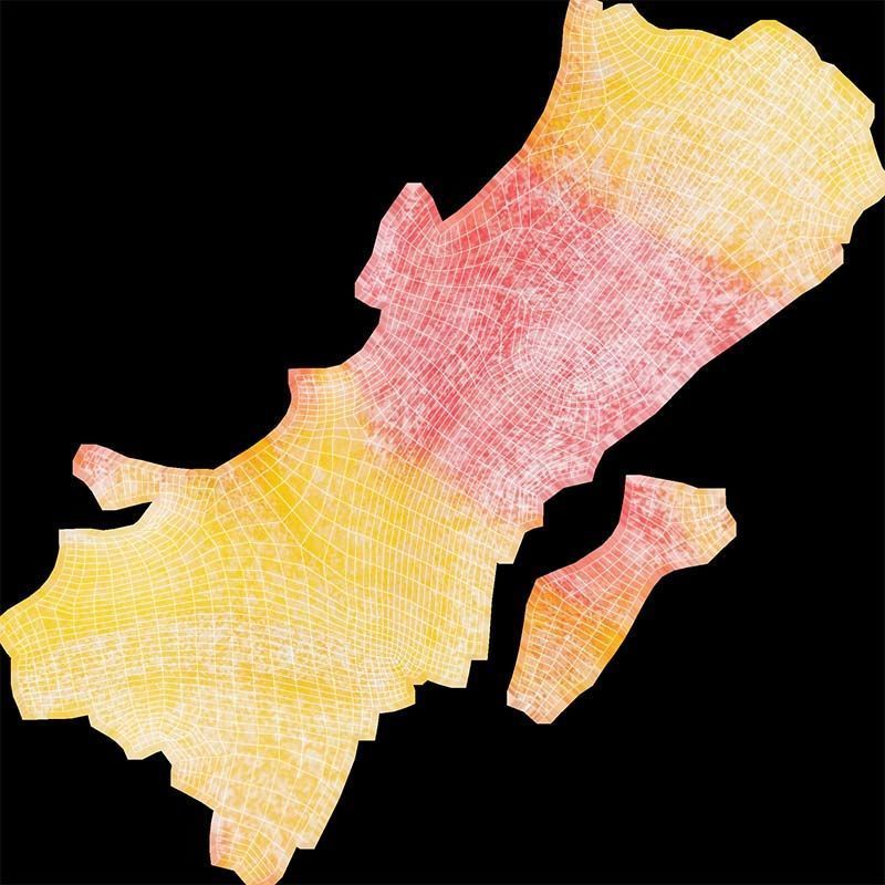 Kite Low-poly 3D model_14