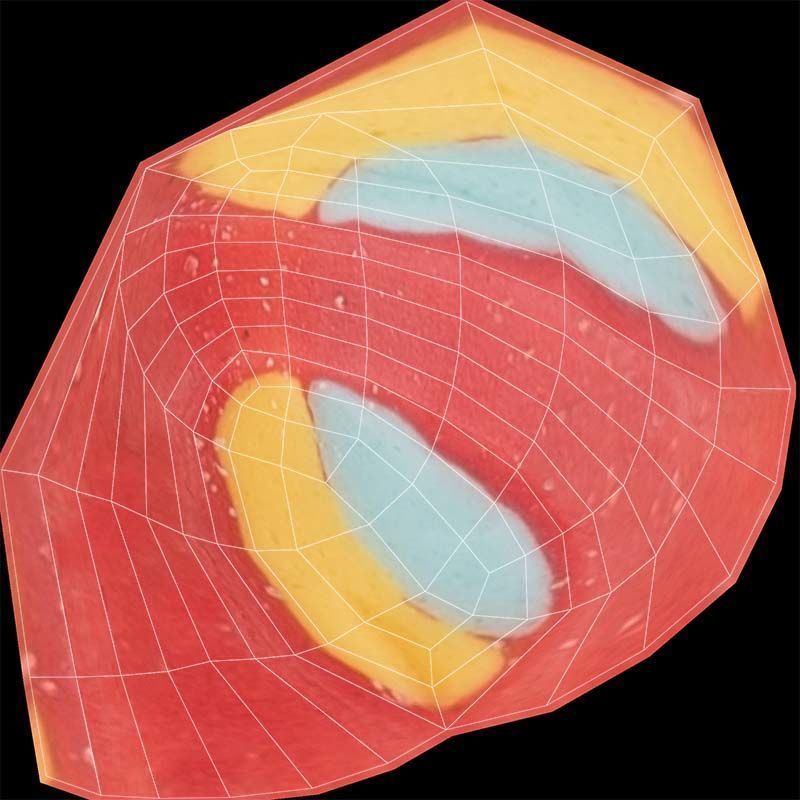 Oval Low-poly 3D model_14