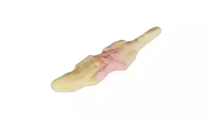 Salamander Low-poly 3D model