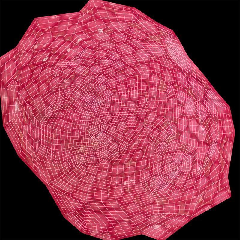 Strawberry Low-poly 3D model_14