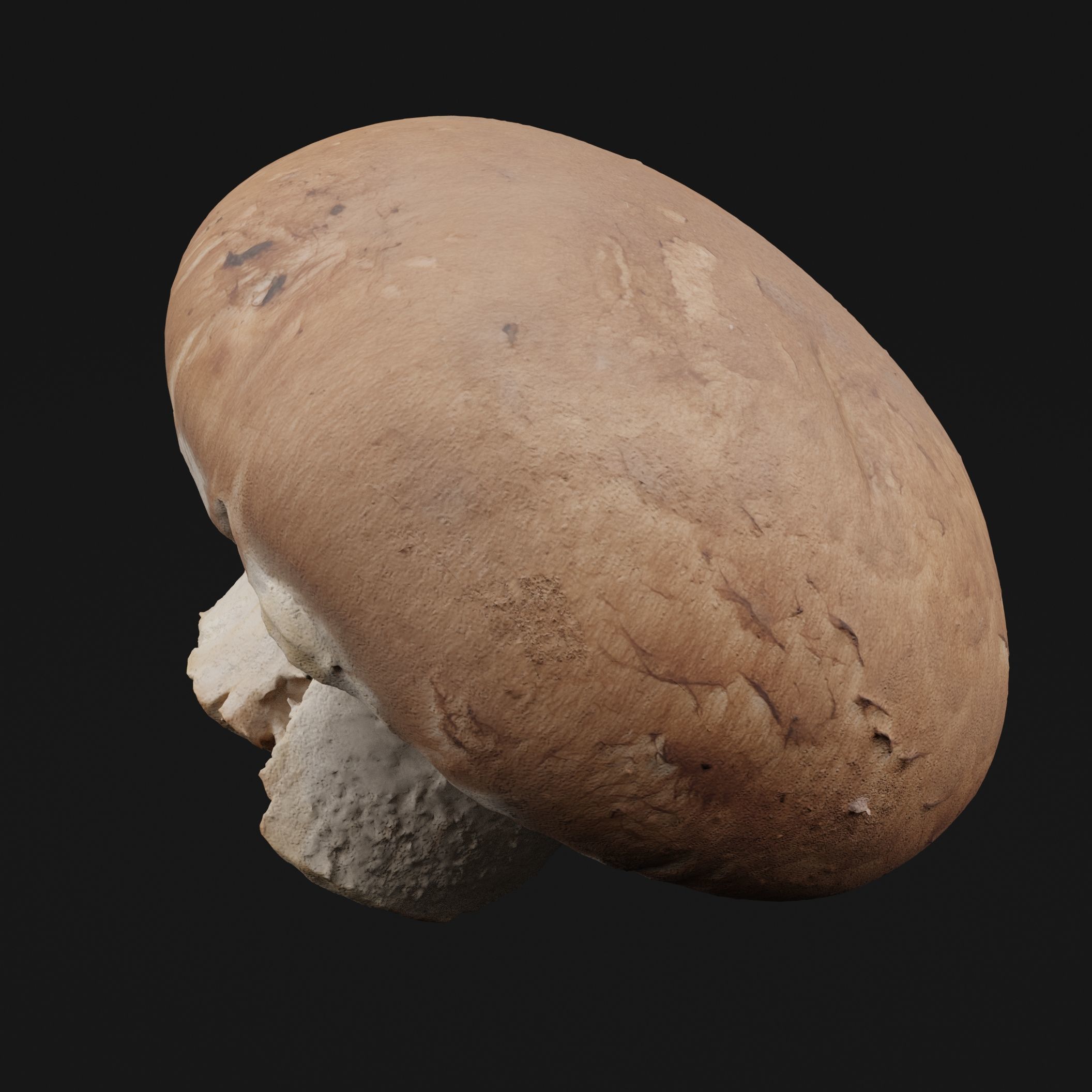 Mushroom 3D model_5