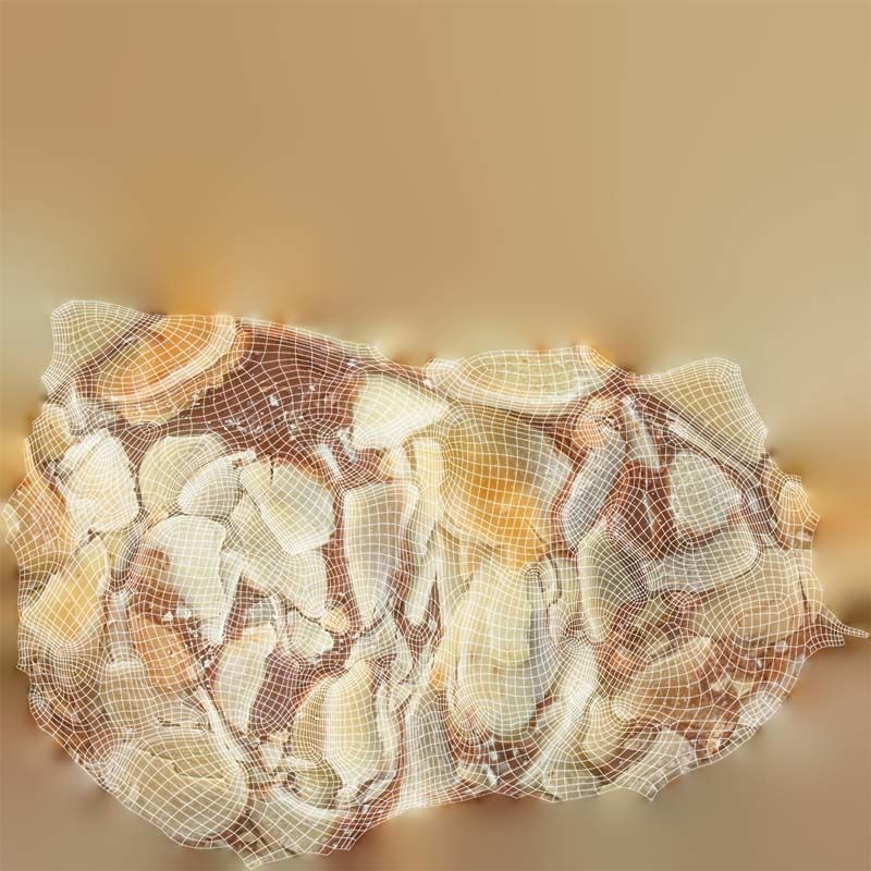 Nut Covered Praline Low-poly 3D model_14