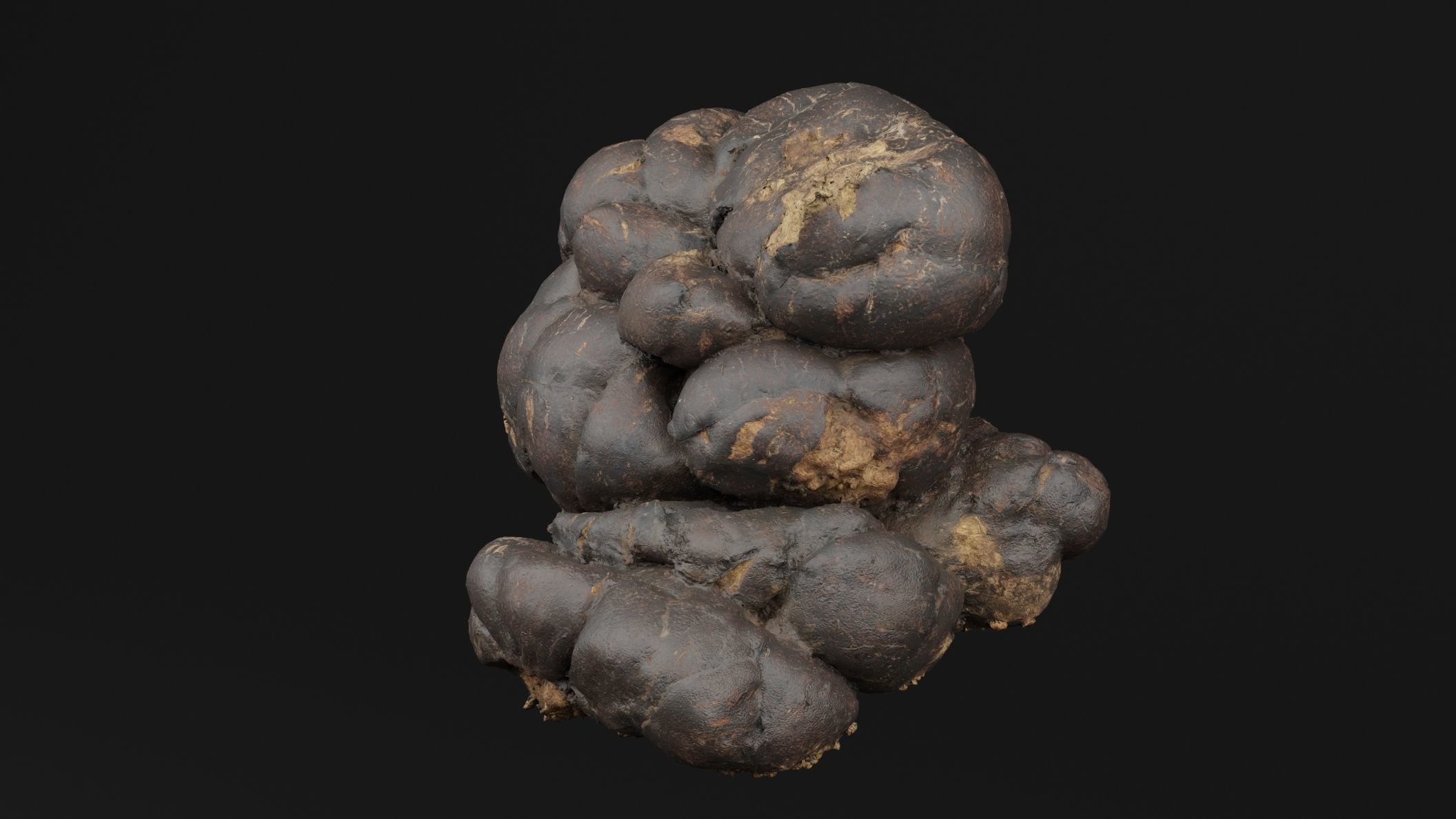 Manure 3D model_4