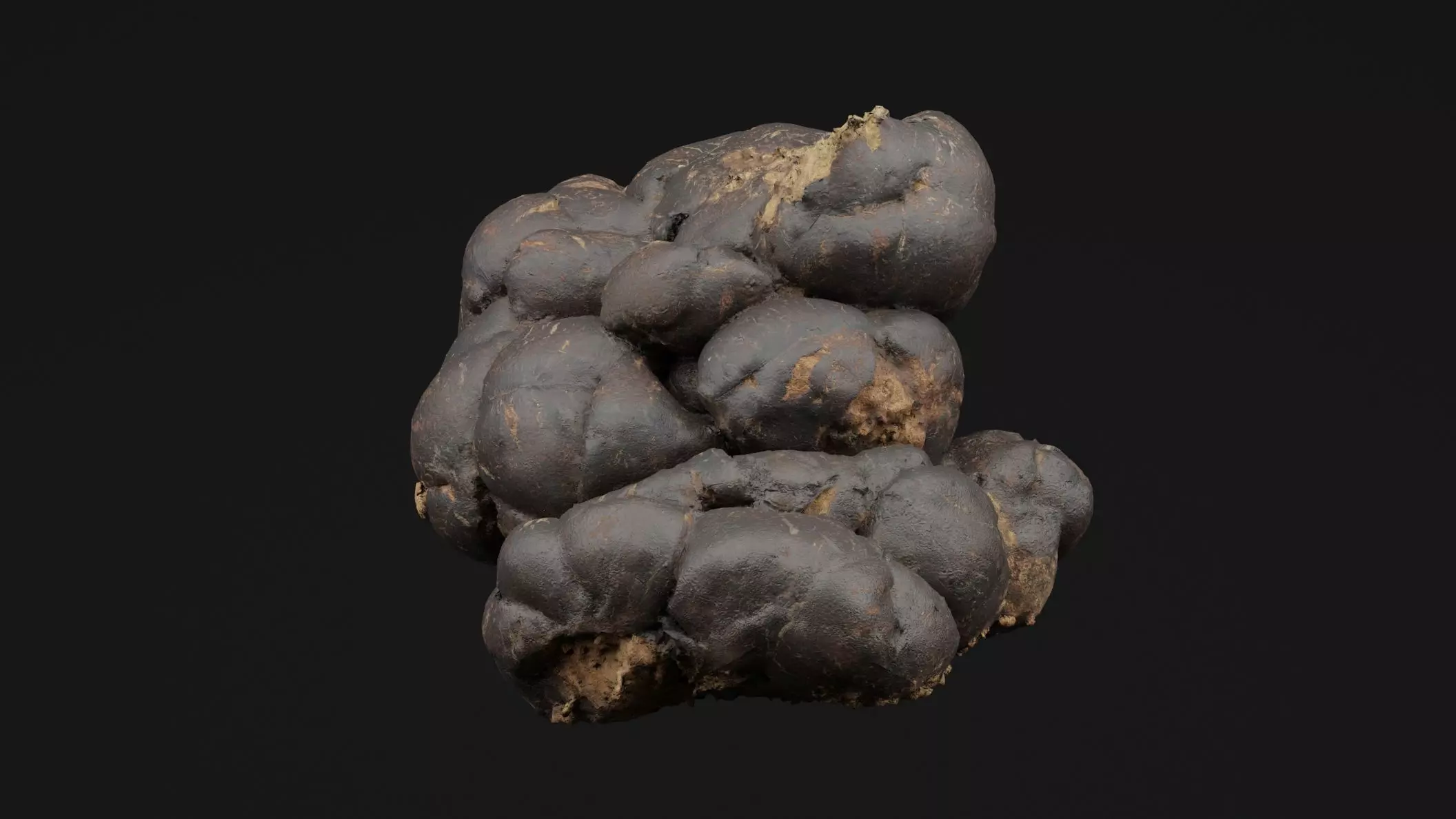 Manure 3D model_0