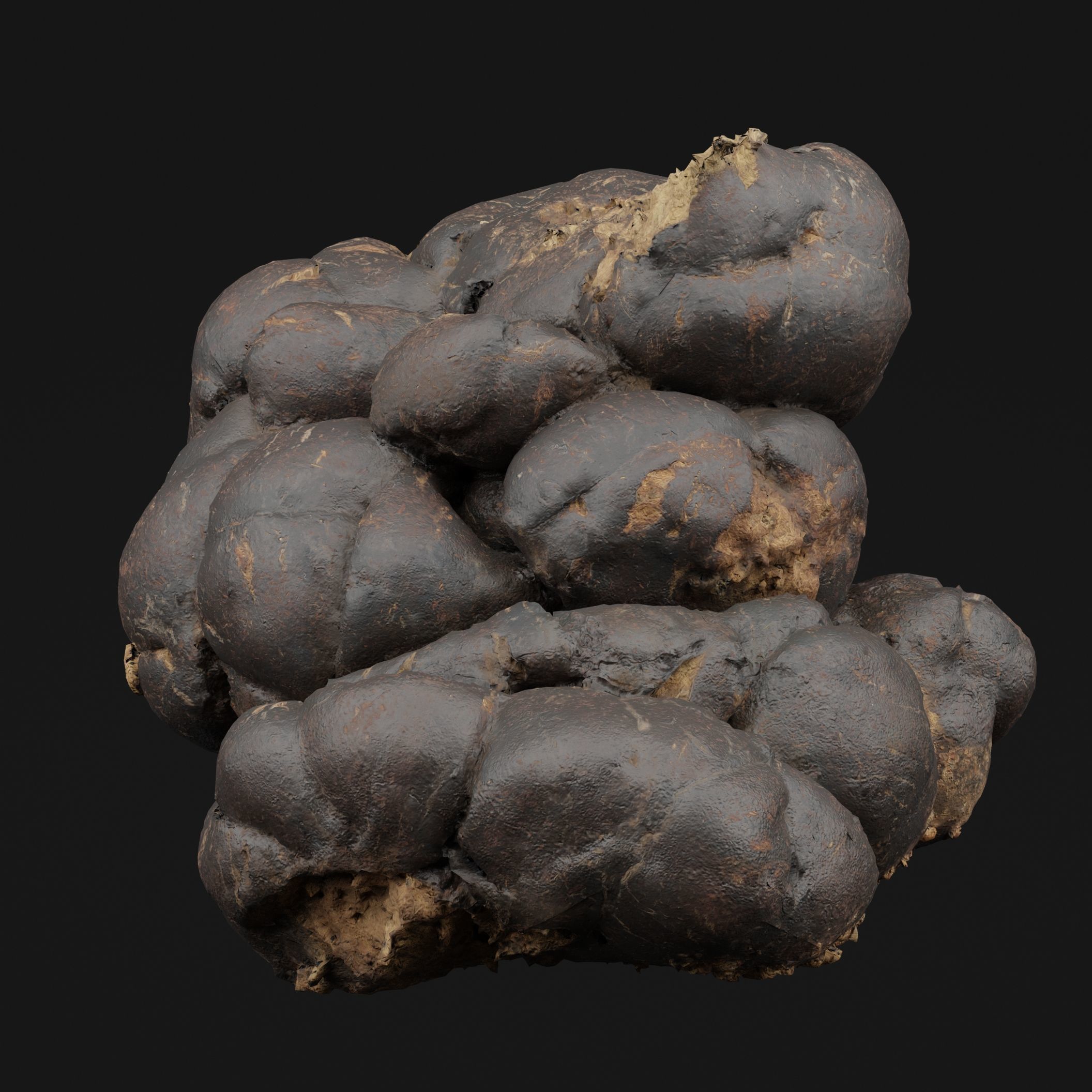 Manure 3D model_5