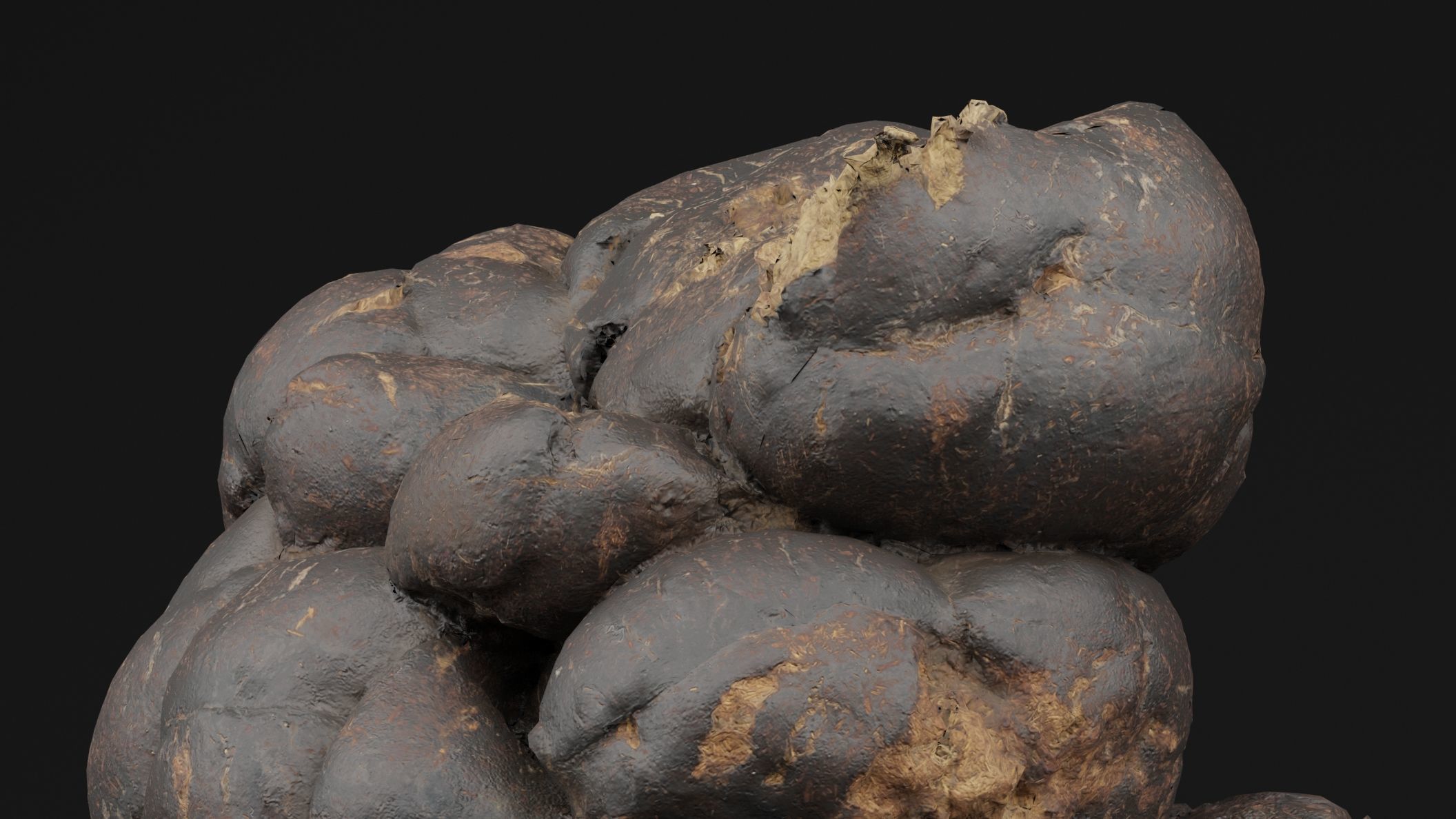Manure 3D model_1