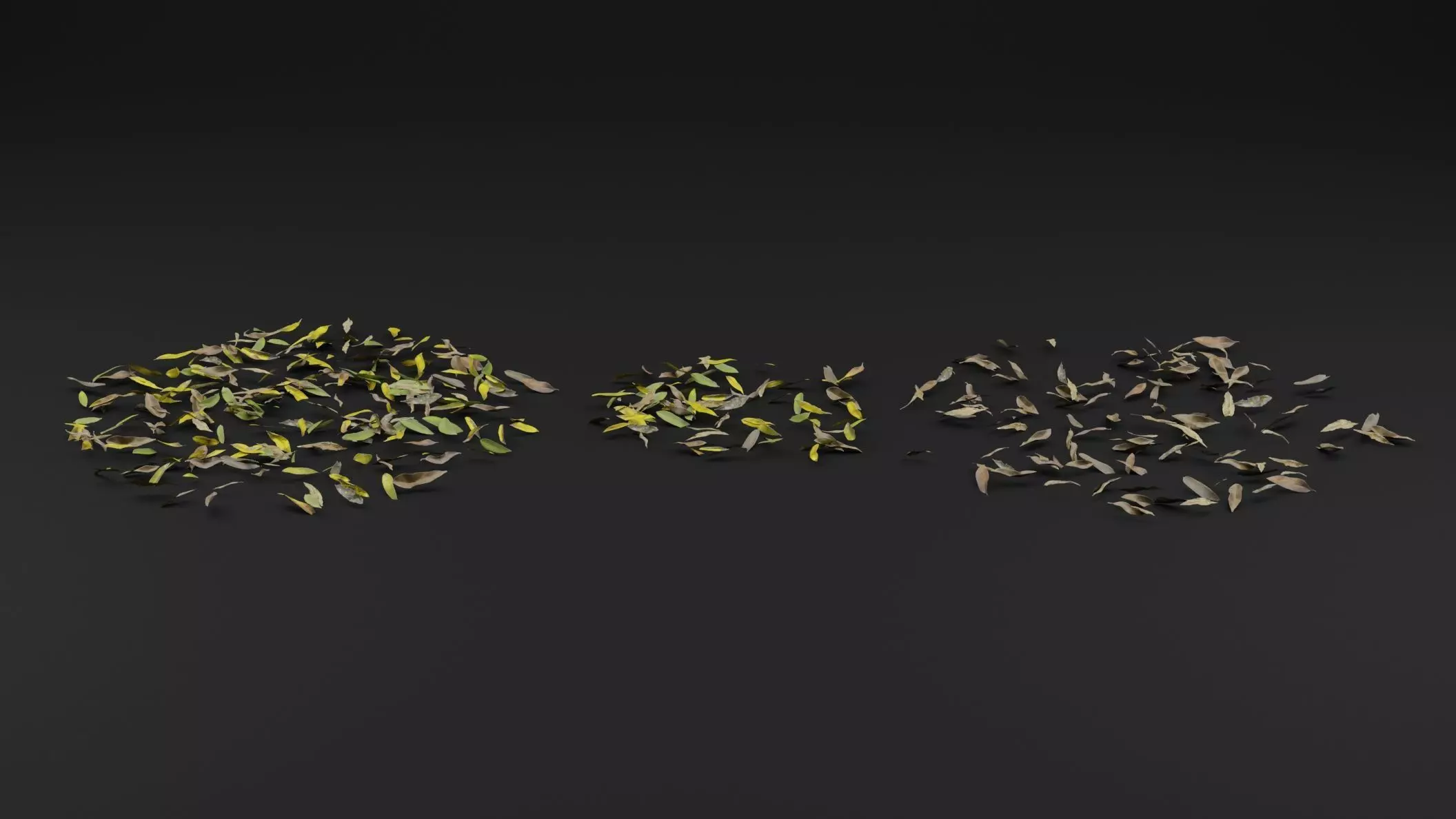 Dead Leaves 3D model_1