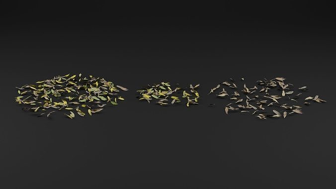 Dead Leaves  3D model