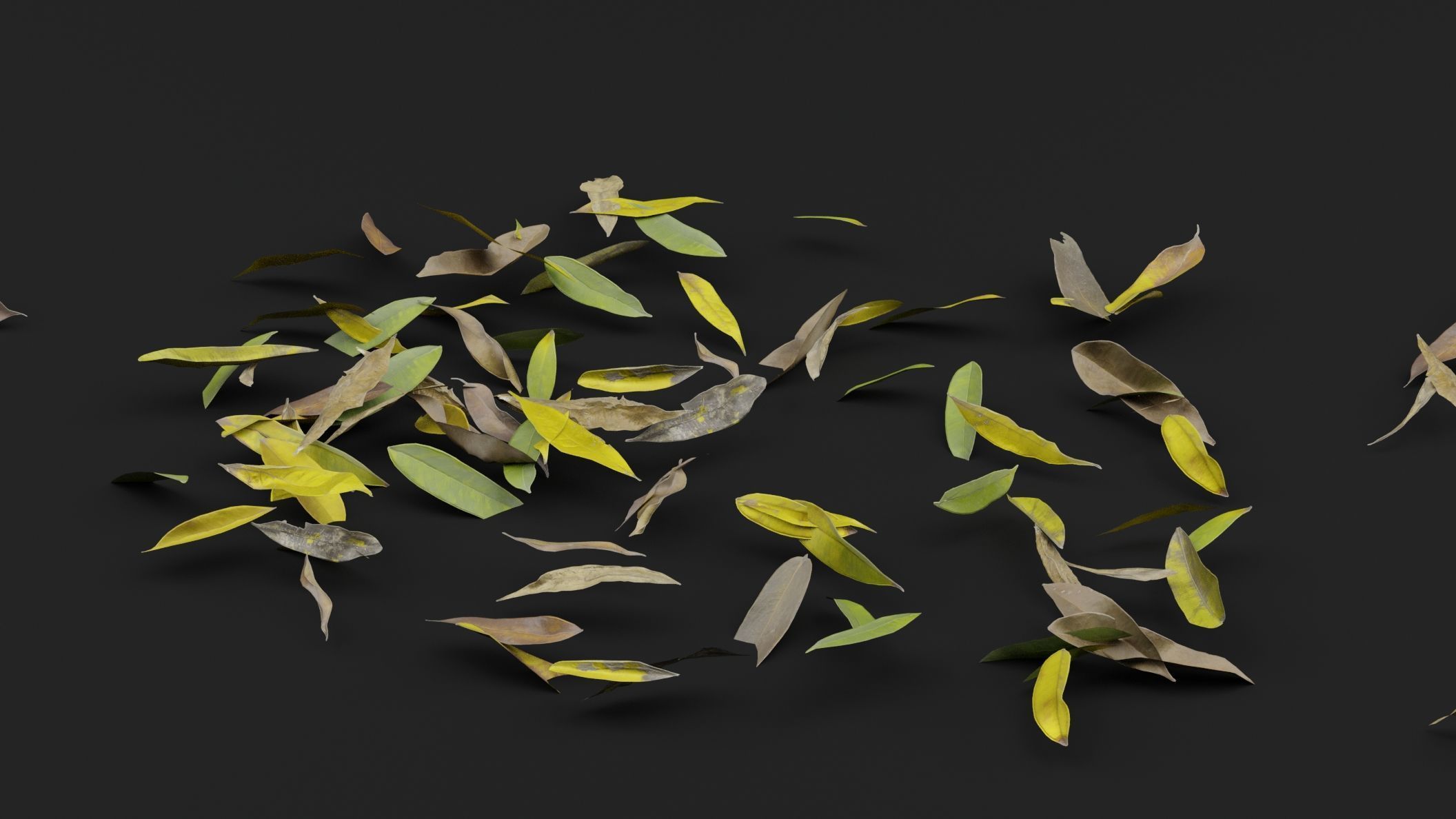 Dead Leaves 3D model_3