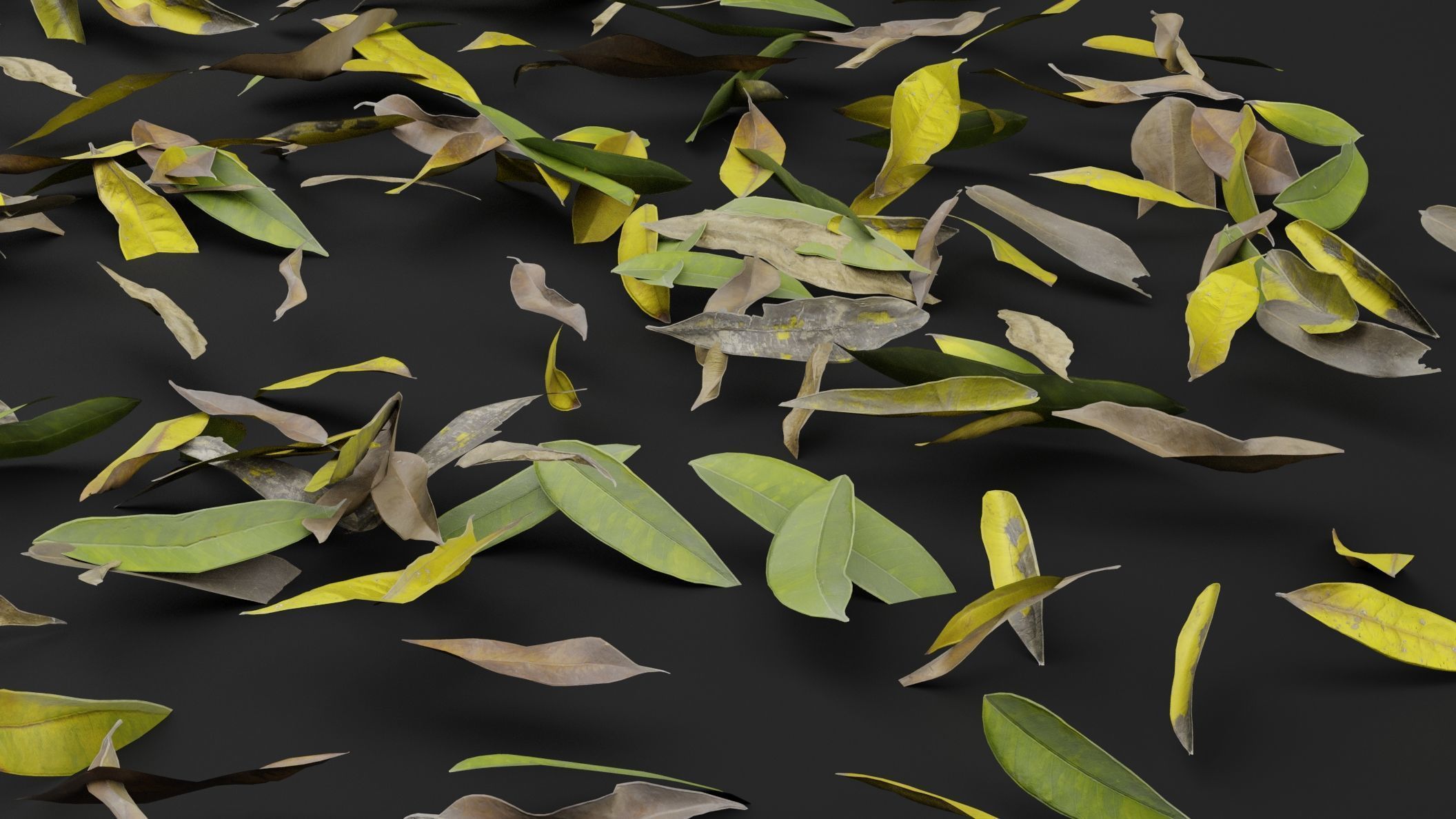 Dead Leaves 3D model_4
