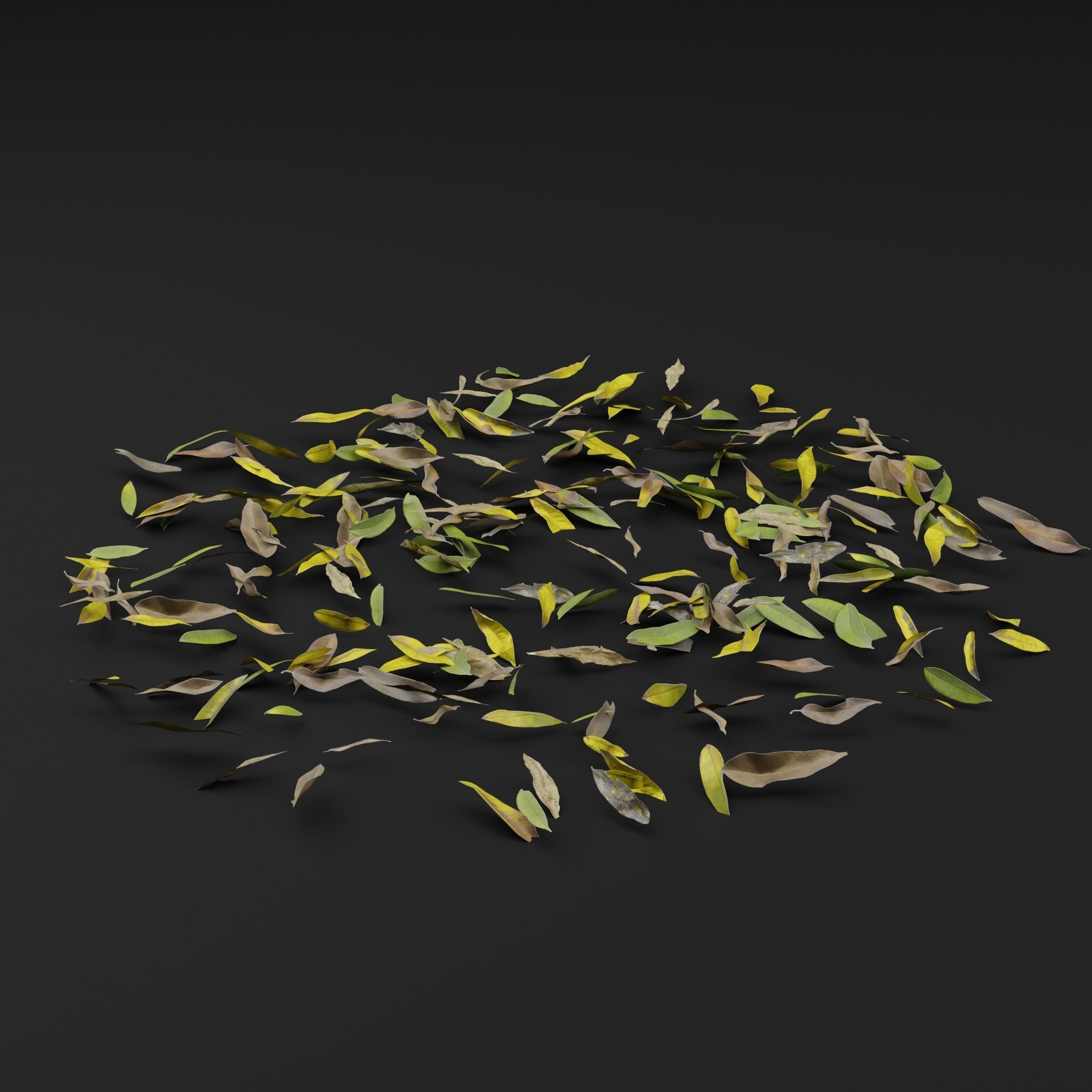Dead Leaves 3D model_5