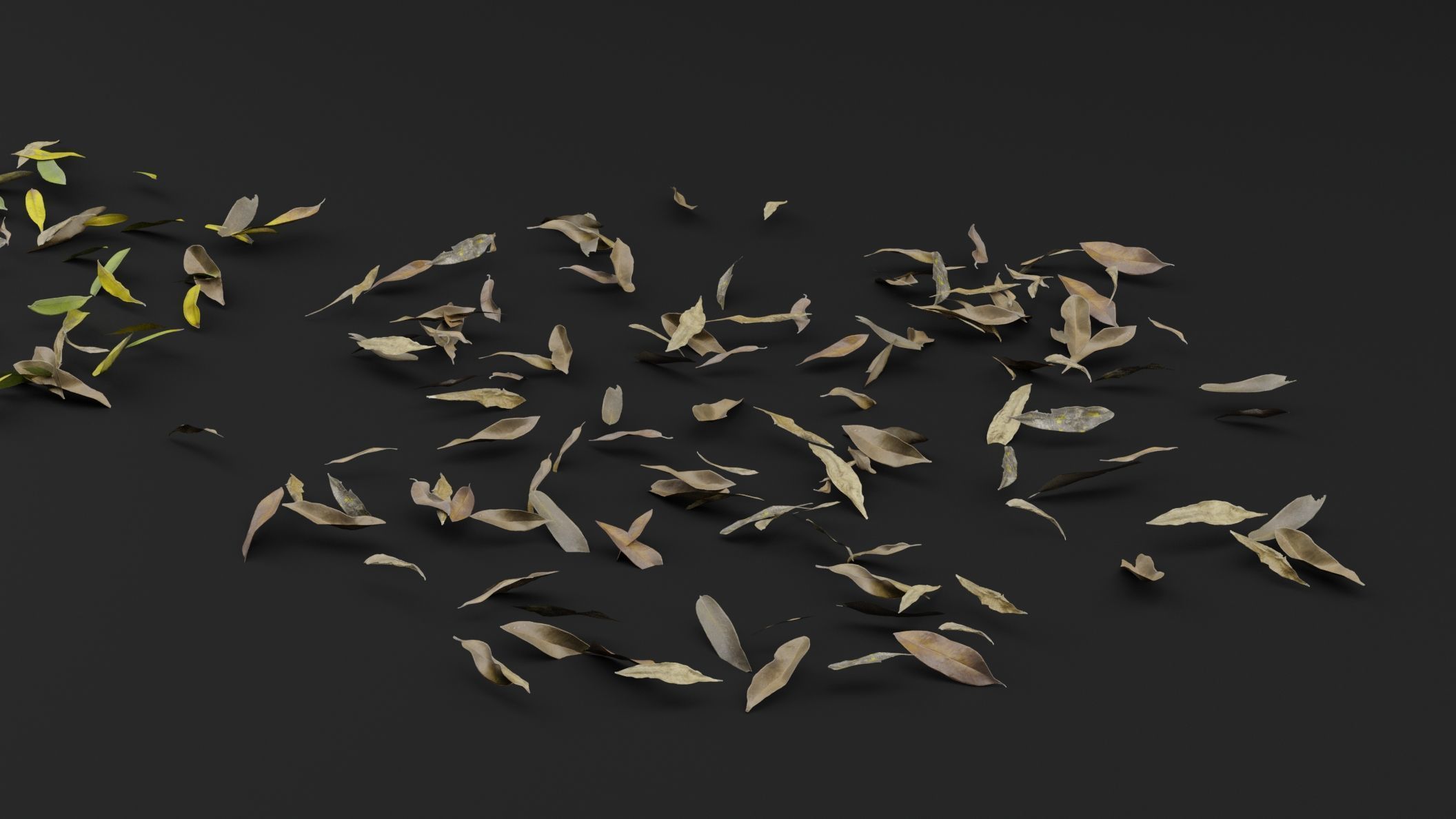 Dead Leaves 3D model_2