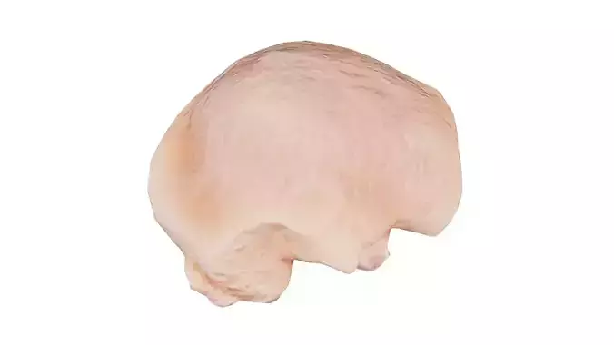 Chicken 2 Low-poly 3D model