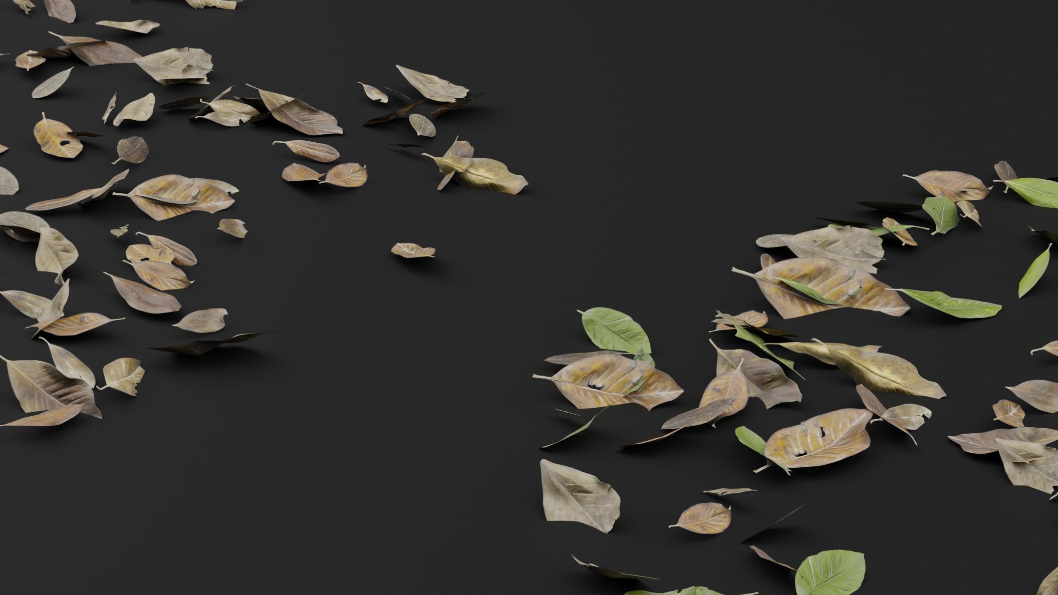 Dead Leaves 3D model_4