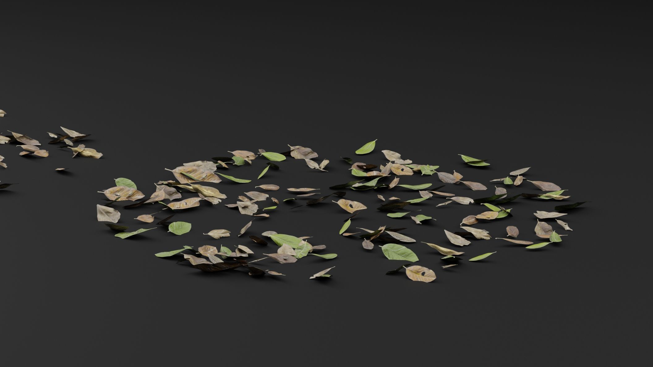 Dead Leaves 3D model_2
