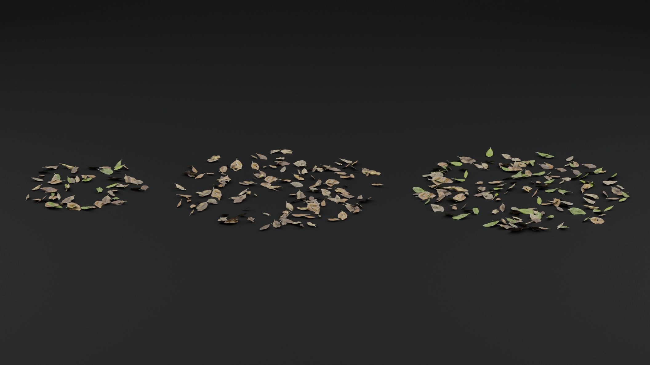 Dead Leaves 3D model_1