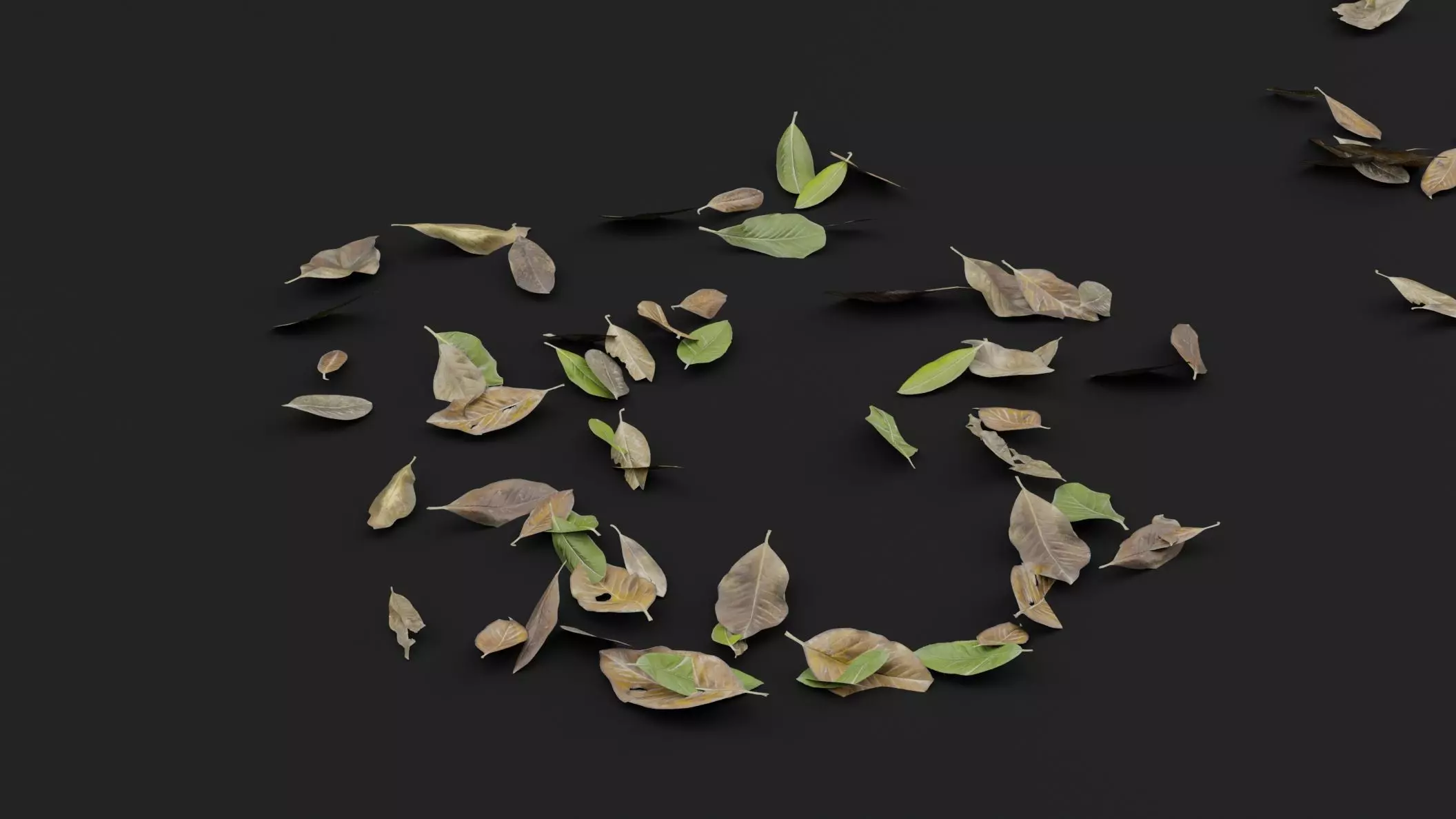 Dead Leaves 3D model_0