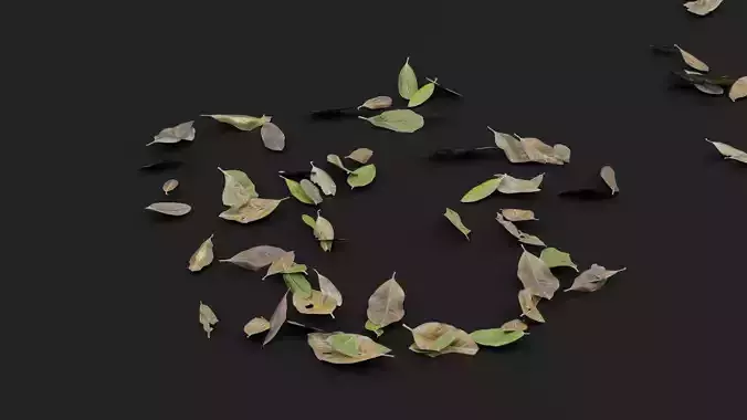 Dead Leaves