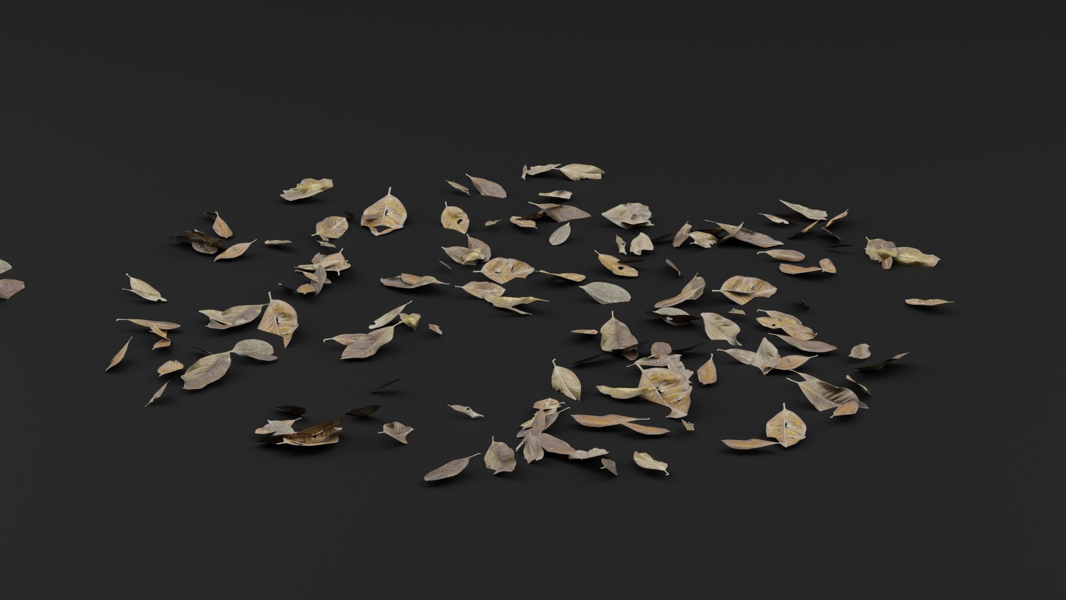 Dead Leaves 3D model_3
