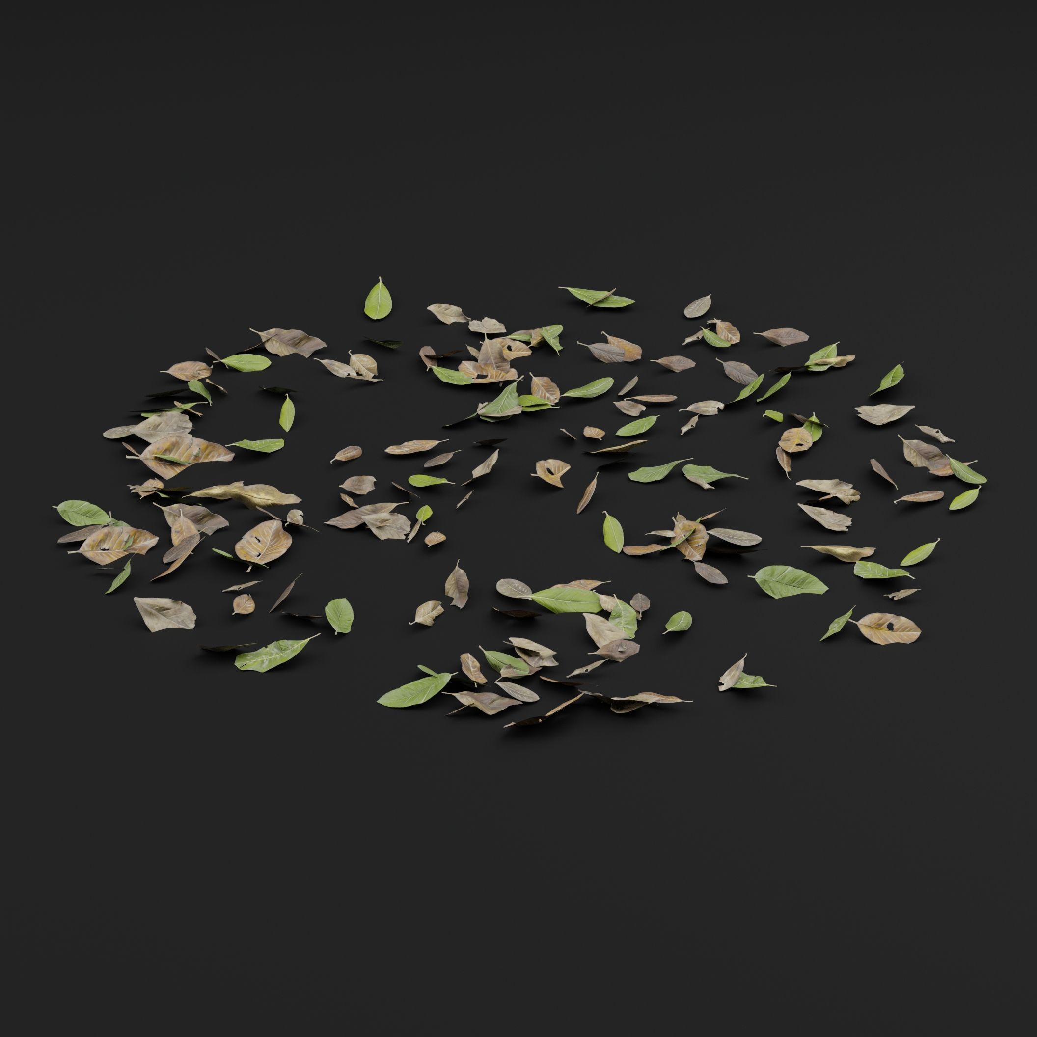 Dead Leaves 3D model_5