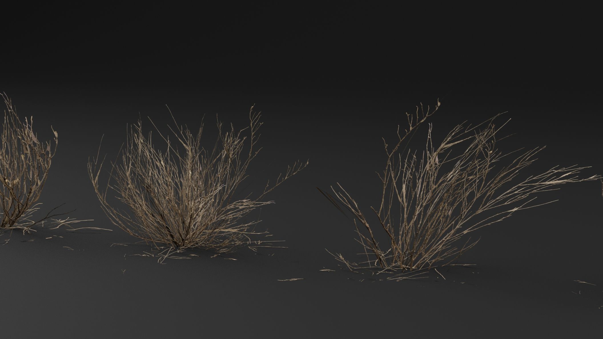 Dead Bush  3D model_3