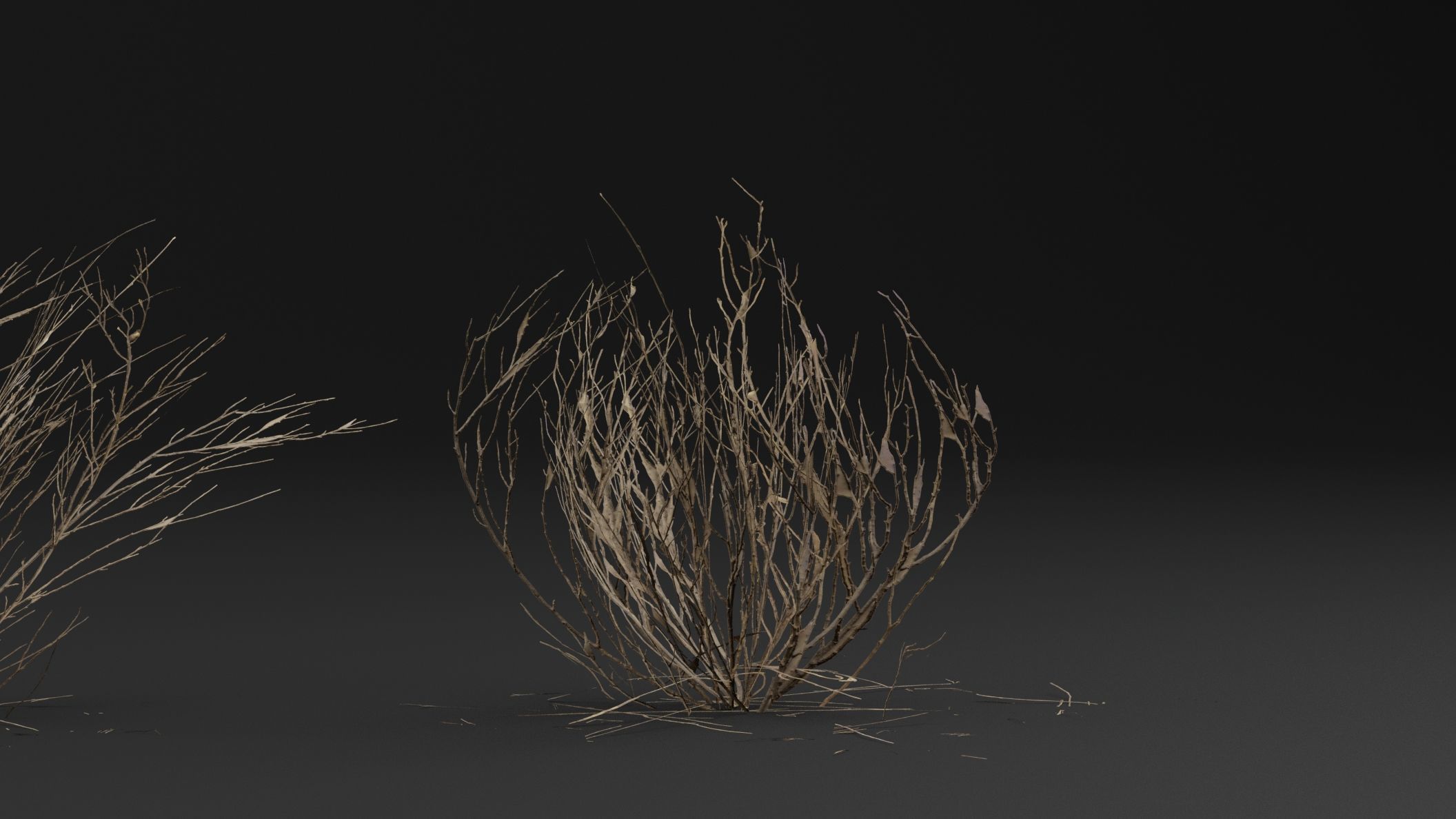 Dead Bush  3D model_2