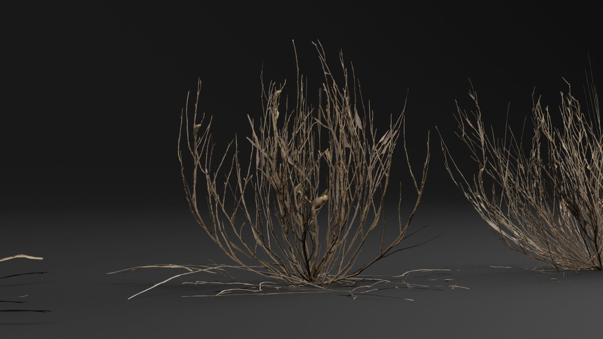 Dead Bush  3D model_4