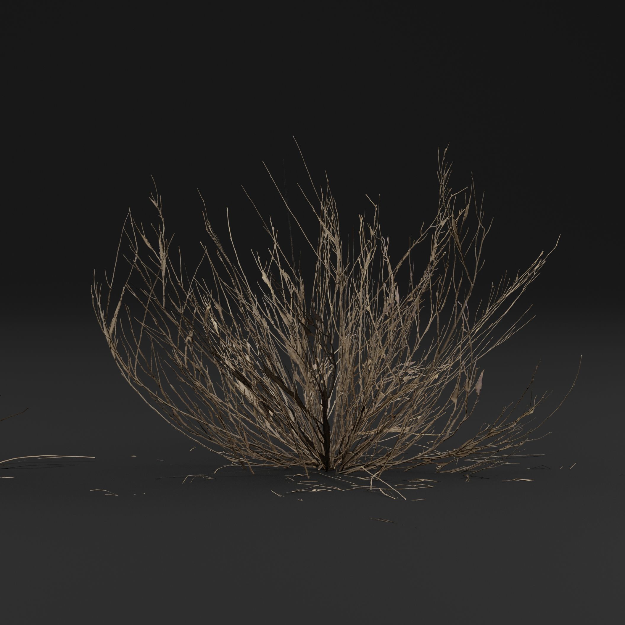 Dead Bush  3D model_5
