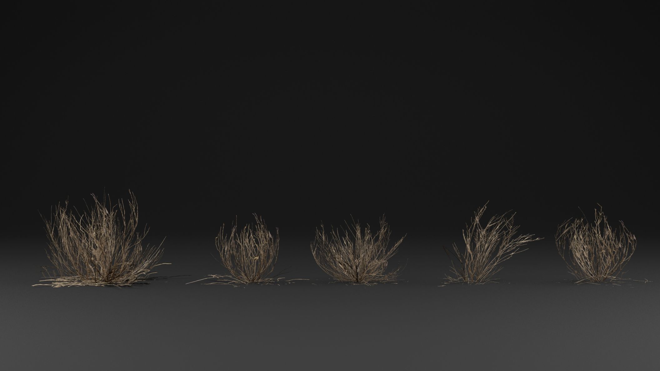 Dead Bush  3D model_1