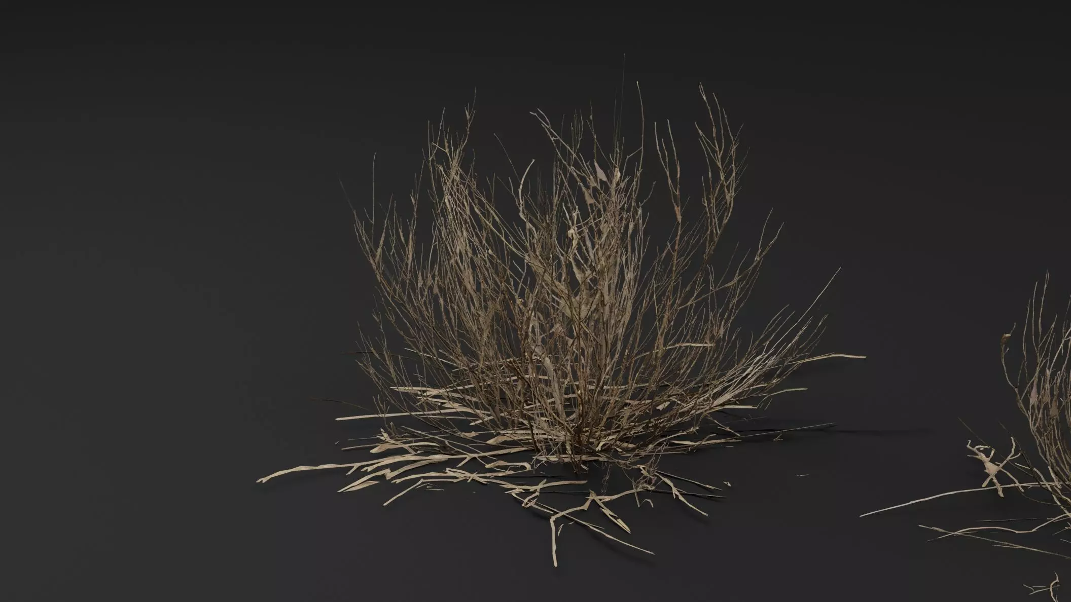 Dead Bush  3D model_0