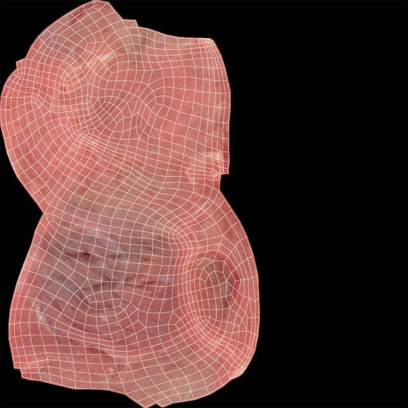 Red Meat 2 Low-poly 3D model_14