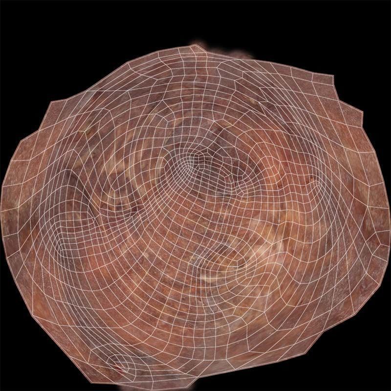 Red Meat Fondue 2 Low-poly 3D model_14