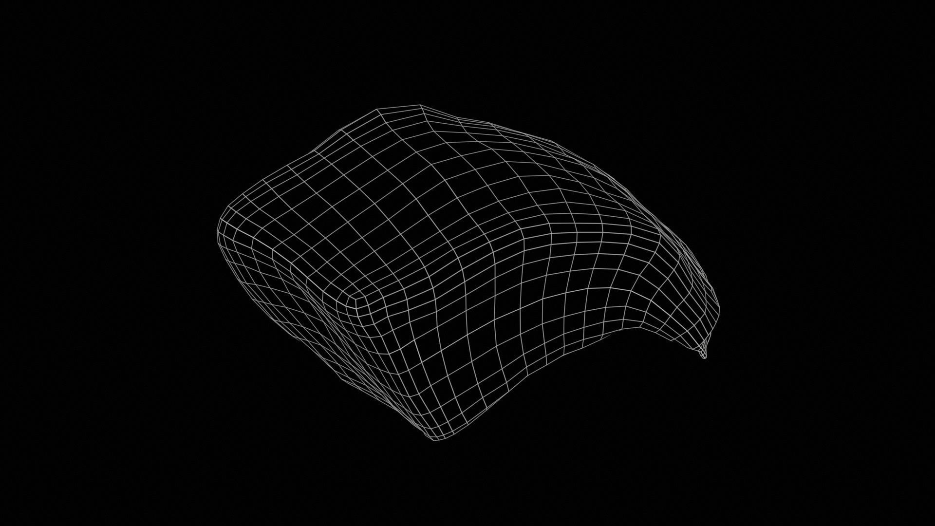 Red Veiny Meat 1 Low-poly 3D model_11