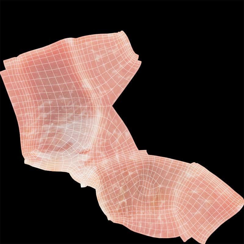 Red Veiny Meat 1 Low-poly 3D model_14