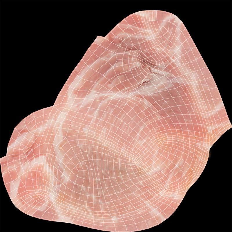 Red Veiny Meat 2 Low-poly 3D model_14