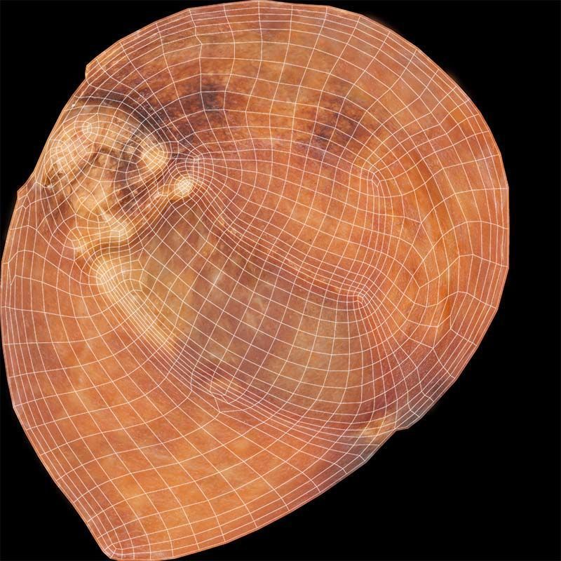 Red Veiny Meat Fondue 1 Low-poly 3D model_14